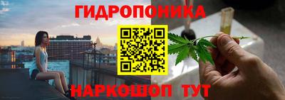 стаф Жуковский